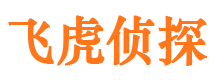 滨海侦探公司